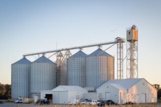 the corn factory