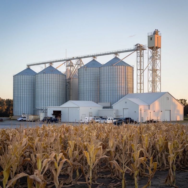 the corn factory